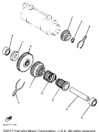 Starter Clutch