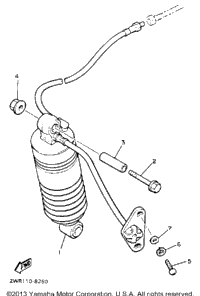 Rear Shocks