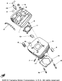 Cylinder Head-Cylinder