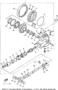 Drive Shaft