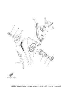 Camshaft & Chain