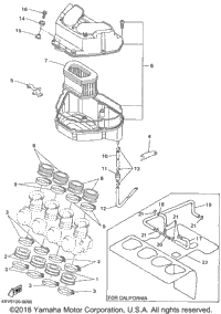 Intake