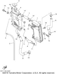 Radiator Hose
