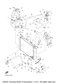 Radiator Hose