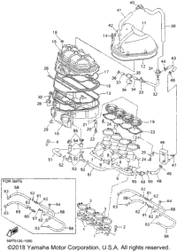 Intake