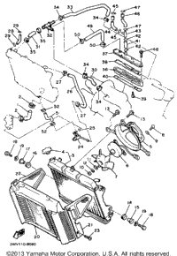 Radiator Hose