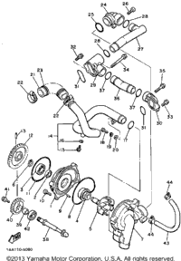 Water Pump