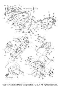 Fender