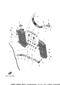 Radiator & Hose
