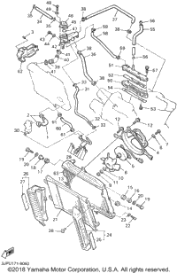 Radiator Hose