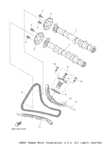 Camshaft Chain