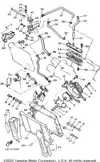 Radiator Hose