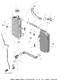 Radiator Hose