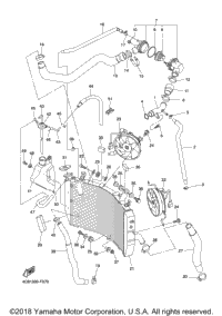 Radiator Hose