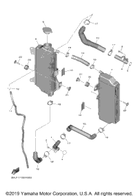 Radiator Hose