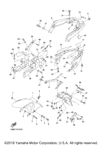 Fender