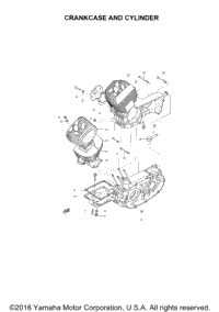 Crankcase And Cylinder