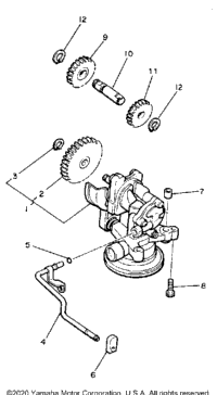 Oil Pump