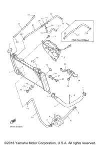 Radiator Hose