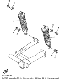 Rear Shocks
