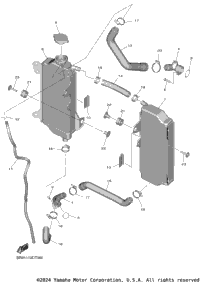 Radiator Hose