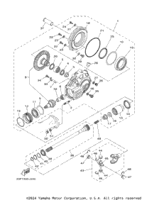 Drive Shaft