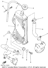 Radiator Hose