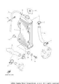 Radiator Hose