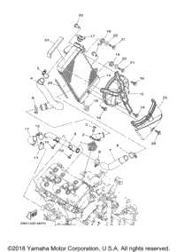 Radiator Hose