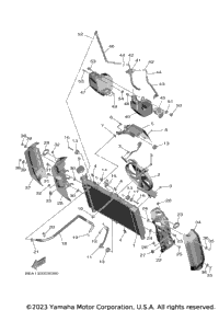 Radiator & Hose