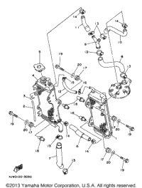 Radiator - Hose