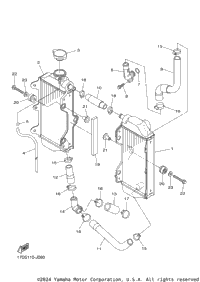 Radiator Hose