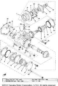 Middle Drive Gear