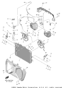 Radiator & Hose