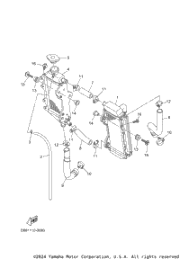 Radiator & Hose