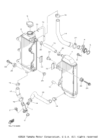 Radiator Hose