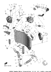 Radiator & Hose