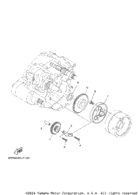Starter Clutch
