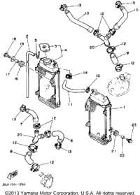Radiator Hose