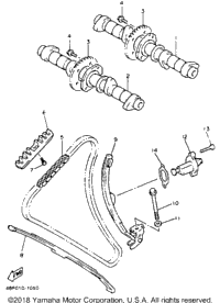 Camshaft Chain
