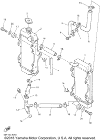 Radiator Hose