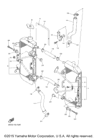Radiator Hose