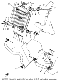 Radiator - Hose