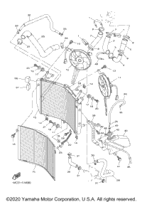 Radiator Hose
