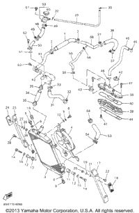 Radiator Hose