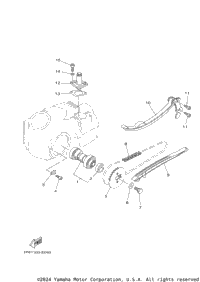 Camshaft & Chain