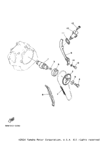 Camshaft & Chain