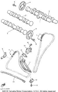 Camshaft Chain