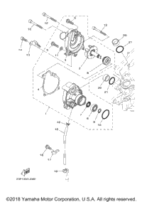 Water Pump