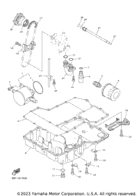 Oil Cooler